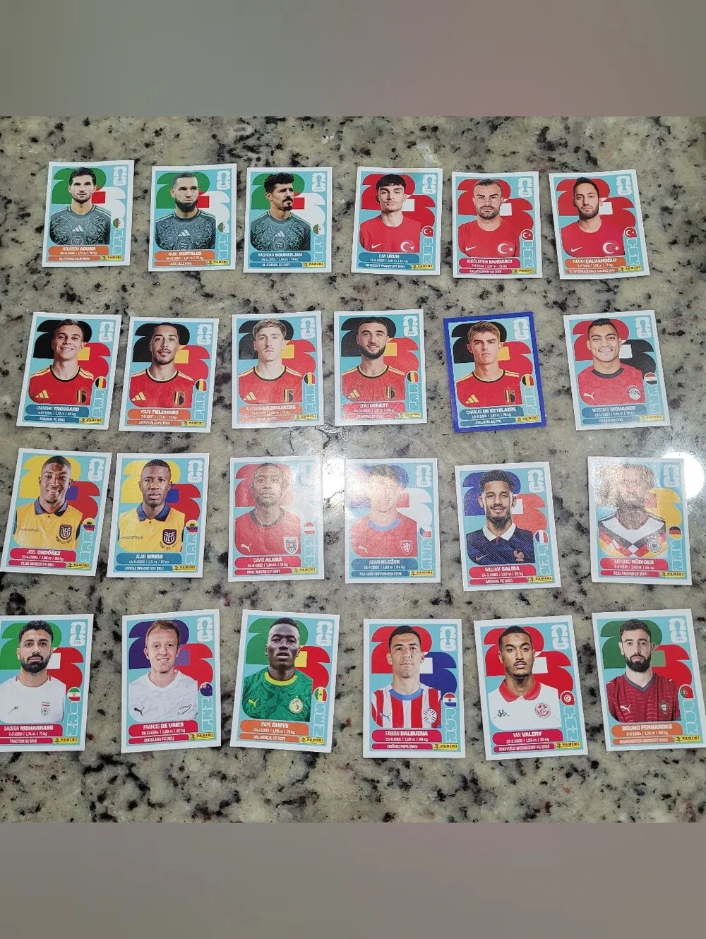 Fifa panini stickers